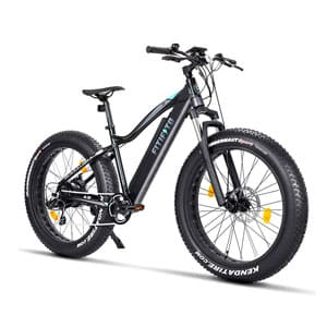Leopard Vita City E-Bike Damen